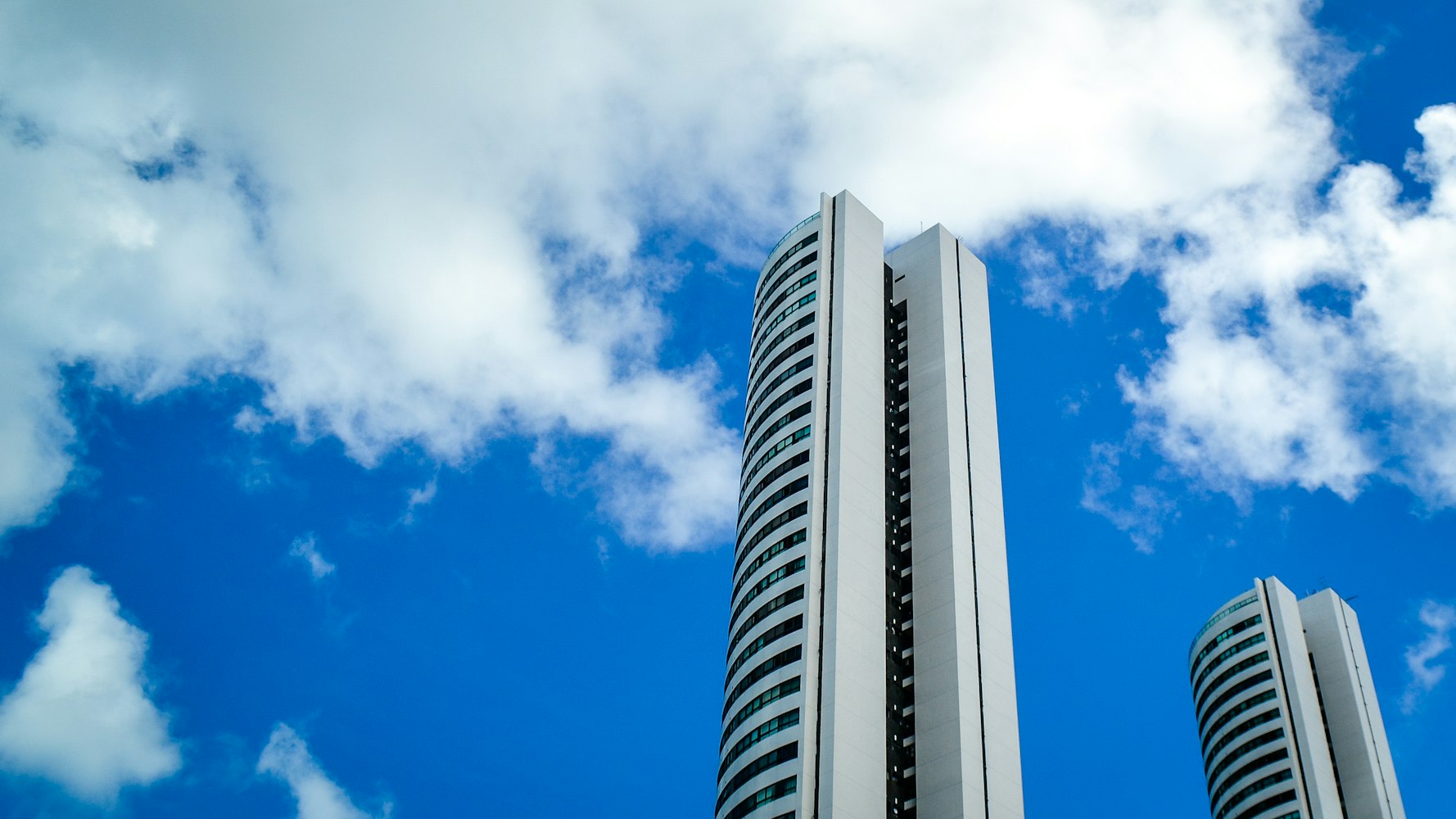 大森林股票,自然与金融的交融之美探索