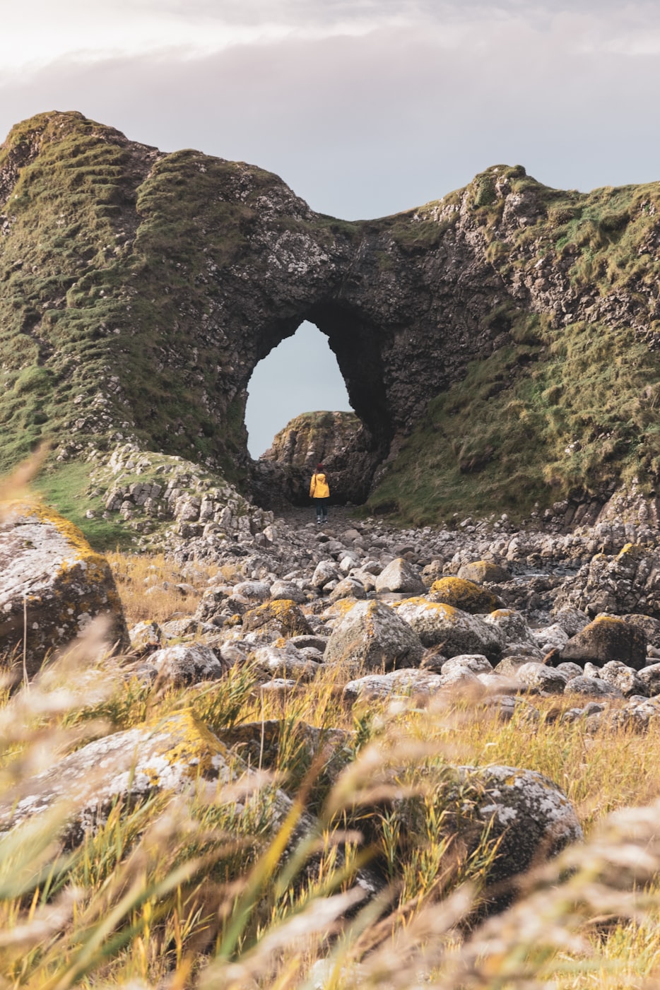 白马速览最新博文,探索前沿科技与社会交汇的发展动态